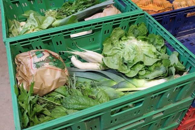 Légumes frais de saison
